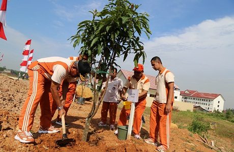 Unhan Laksanakan Aksi Penanaman Pohon