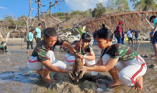 Kadet Mahasiswa Prodi Budi Daya Tanaman Perkebunan FLM Unhan RI Laksanakan PKM Menanam Pohon Bakau dan Pembersihan Pantai Bersama KPP Pratama Atambua