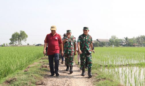 Rektor Unhan RI Melaksanakan Kunjungan ke Lokasi Program Tani Merdeka di Kabupaten Karawang dan Kabupaten Purwakarta